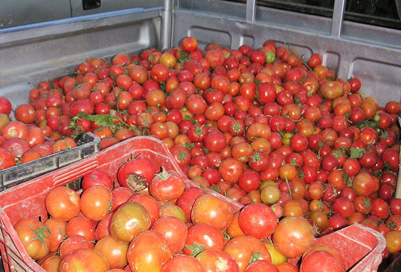 トラックいっぱいのトマト