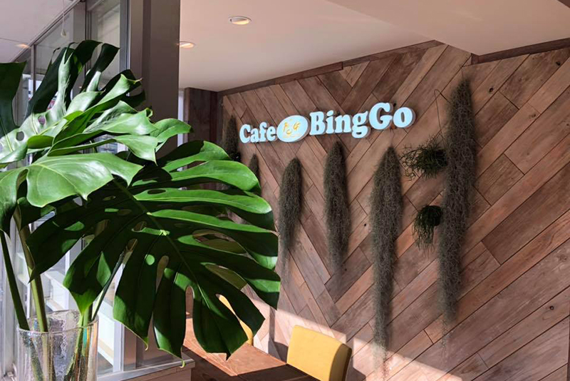 Cafe BingGo